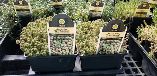 Florist «London Florist», reviews and photos, 196 W Center St, London, OH 43140, USA