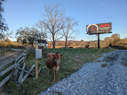 Bar «Greenhouse Moto Cafe», reviews and photos, 4021 Haywood Rd, Mills River, NC 28759, USA