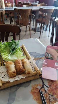 Rouleau de printemps du Restaurant chinois Yummy Noodles 渔米酸菜鱼 川菜 à Paris - n°7