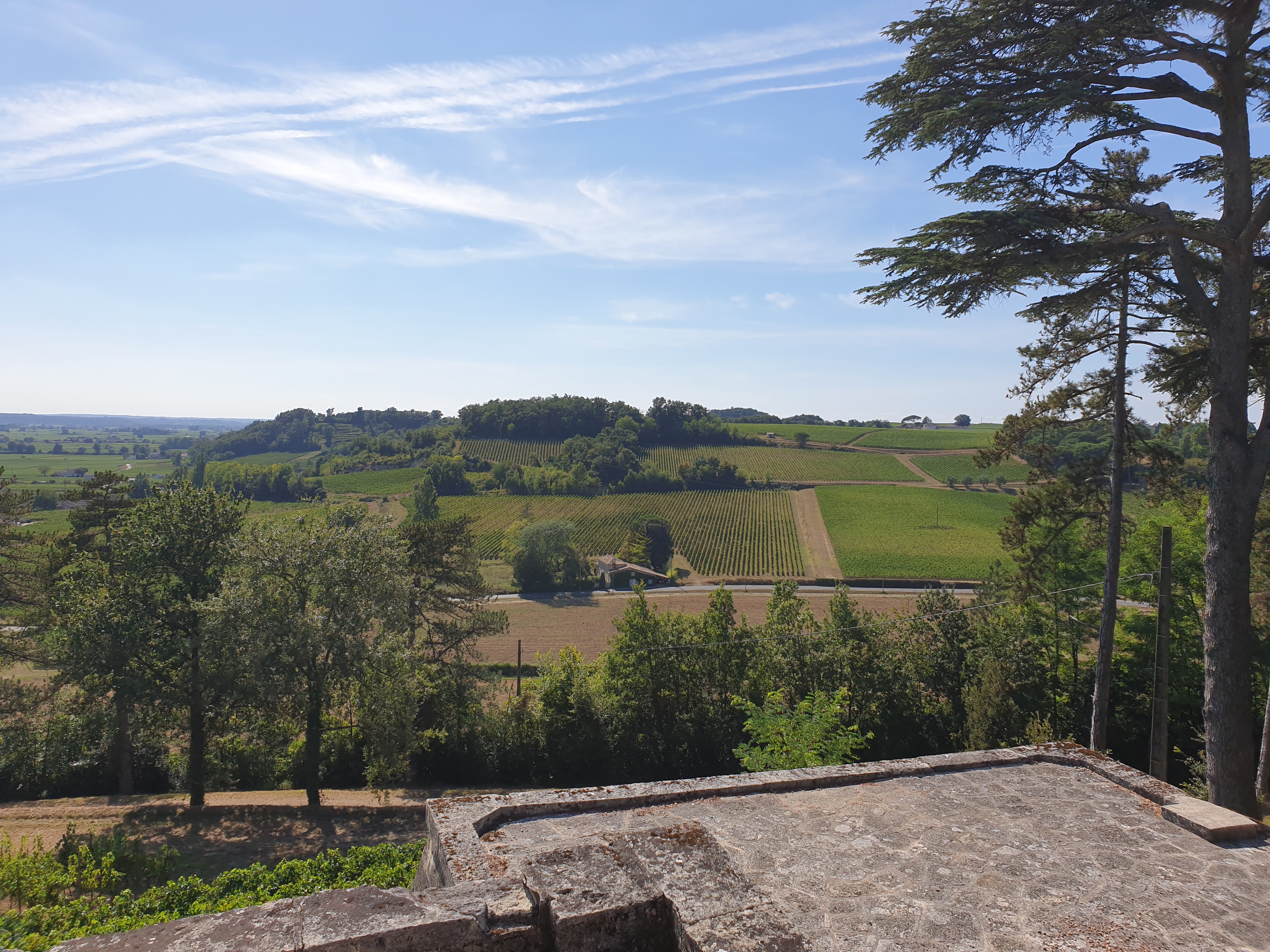 Photo n° 4 de l'avis de Vee.a fait le 14/08/2020 à 21:57