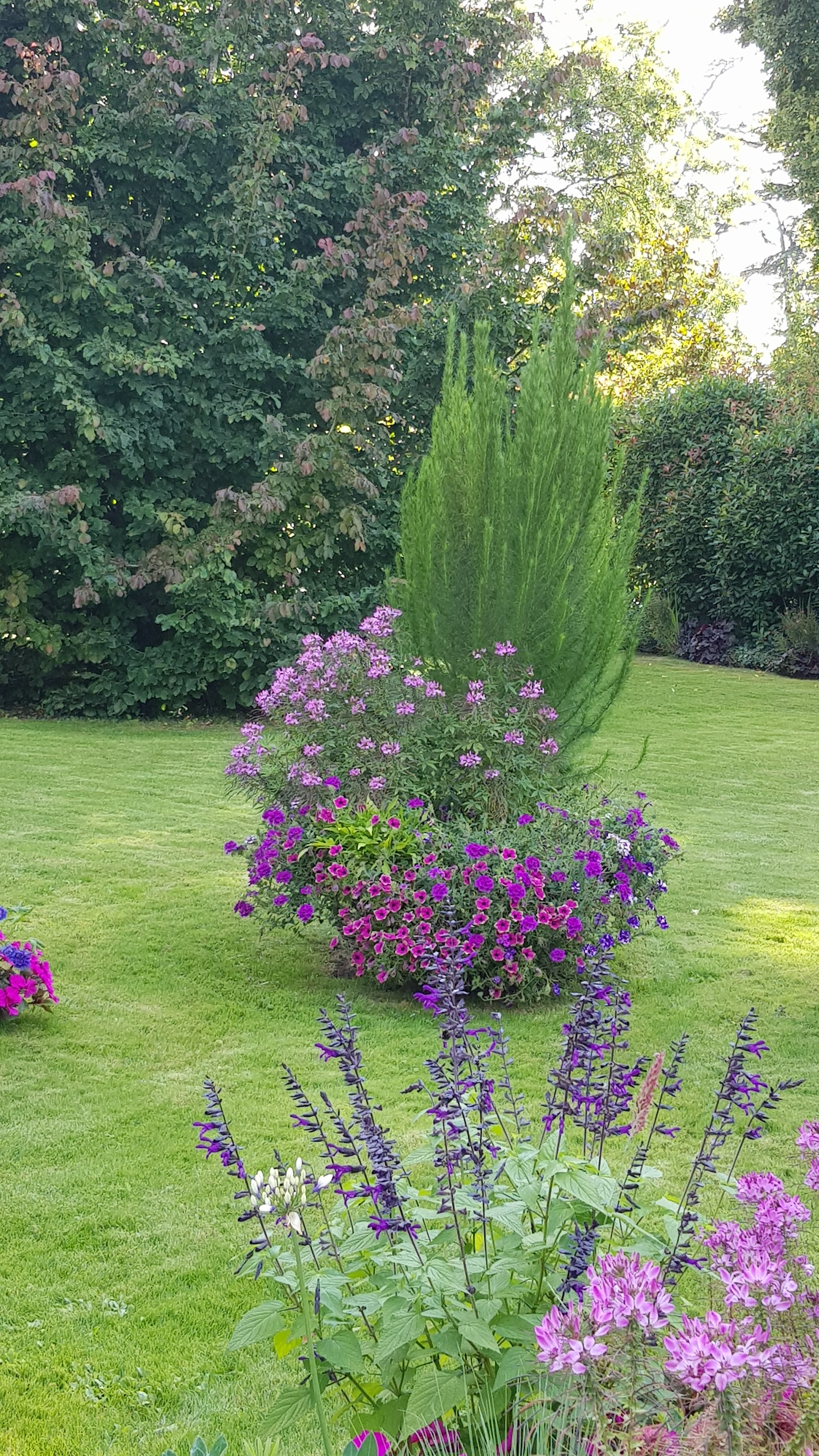 Photo n° 1 de l'avis de Fred.y fait le 26/08/2021 à 19:16