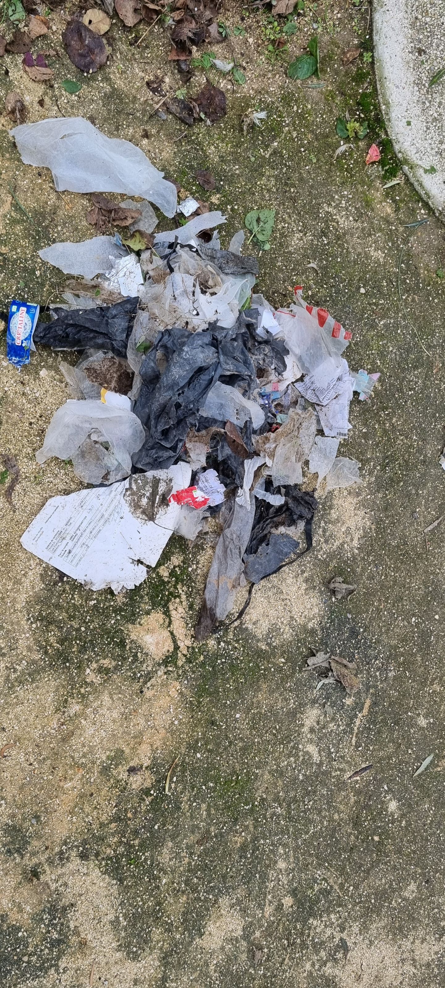 Photo n° 1 de l'avis de Michel.a fait le 11/12/2022 à 15:13