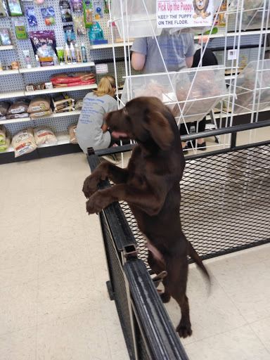 Pet Palace Inc, 253 Scranton Carbondale Hwy, Scranton, PA 18508, USA, 