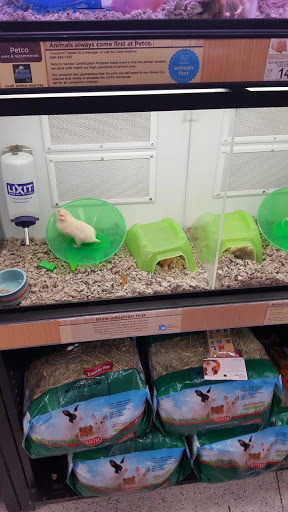 Pet Supply Store «Petco Animal Supplies», reviews and photos, 3525 W Victory Blvd, Burbank, CA 91505, USA