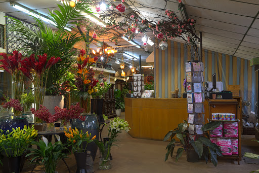 Plants n' Petals Flower Shop