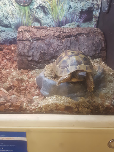 Pet Supply Store «PetSmart», reviews and photos, 1050 McKinley Pl Dr #30, San Marcos, TX 78666, USA