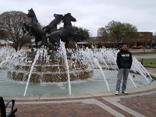 Book Store «Half Price Books», reviews and photos, 770 E Road to Six Flags St, Arlington, TX 76011, USA