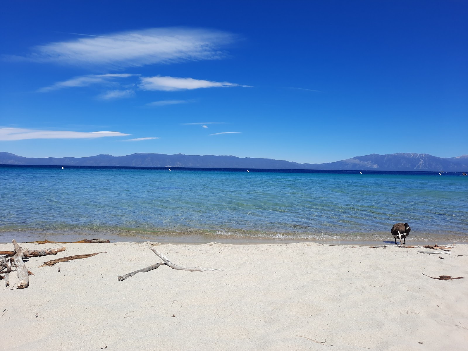 Fotografija Meeks Bay Beach udobje območja