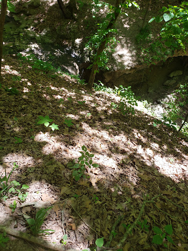 Nature Preserve «John M Olin Nature Preserve», reviews and photos, 2213 South Levis Lane, Godfrey, IL 62035, USA