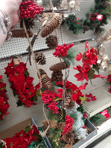 Discount Store «Big Lots», reviews and photos, 775 S Orange Blossom Trail, Apopka, FL 32703, USA