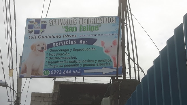 Opiniones de Servicios Veterinarios San Felipe en Latacunga - Médico