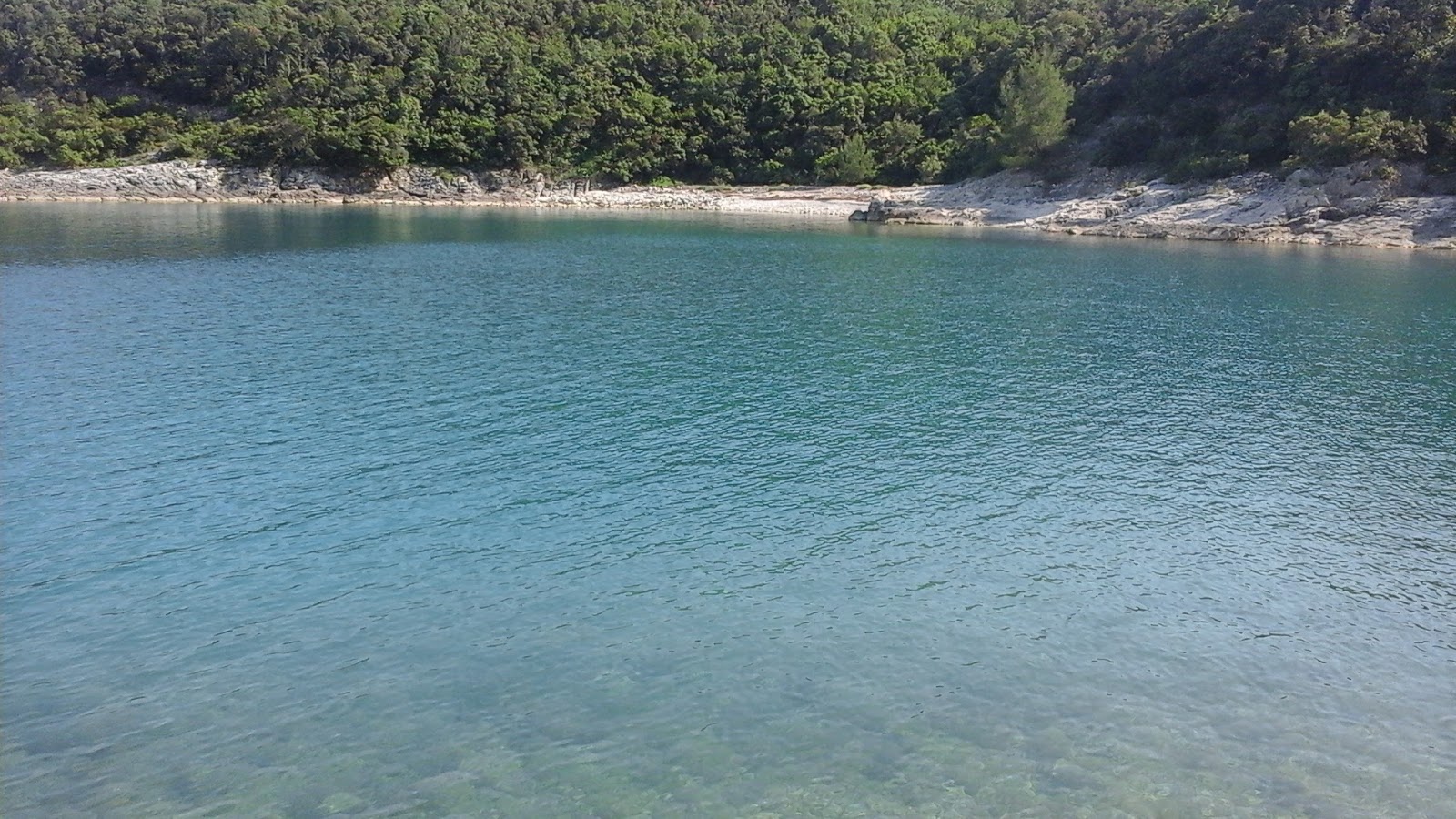 Foto di Loverica beach con molto pulito livello di pulizia