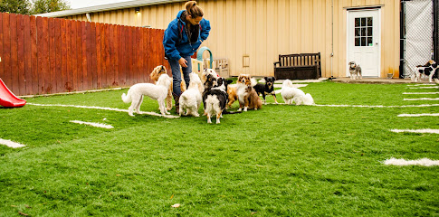 Dog Day Afternoon Pet Resort