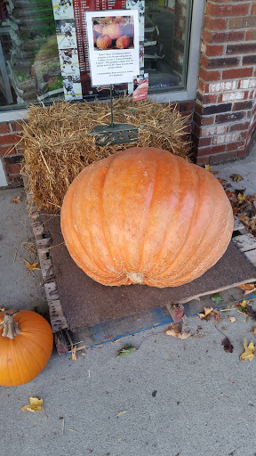 Hardware Store «Coakley Carpet One Ace Hardware», reviews and photos, 2535 NY-68, Canton, NY 13617, USA