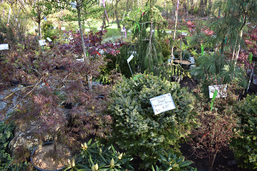 Garden Center «Stonewall Garden Center», reviews and photos, 4675 PA-447, Canadensis, PA 18325, USA
