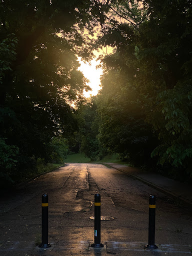 Park «Burnet Woods», reviews and photos, 3251 Brookline Ave, Cincinnati, OH 45220, USA