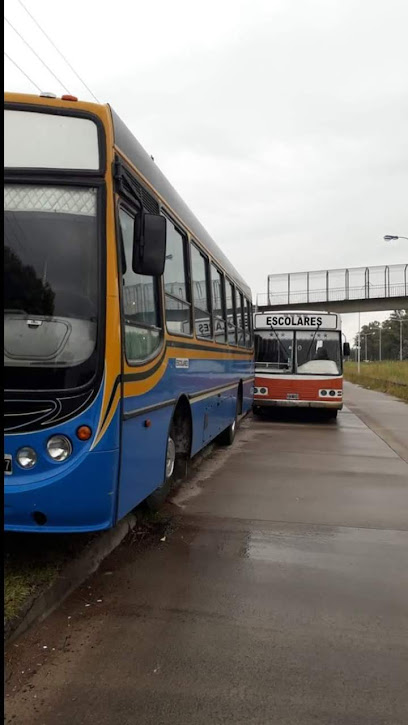 Transporte Pato Bus