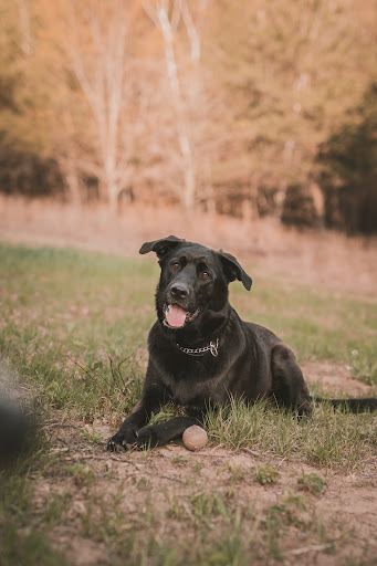 Colfax Animal Hospital