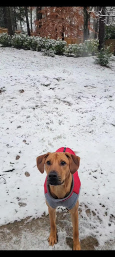 Insurance Agency «Eric Rose State Farm® Insurance Agent», reviews and photos