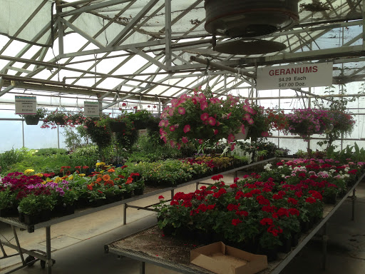 Florist «Pletschers», reviews and photos, 641 Old Hwy 8 SW, New Brighton, MN 55112, USA