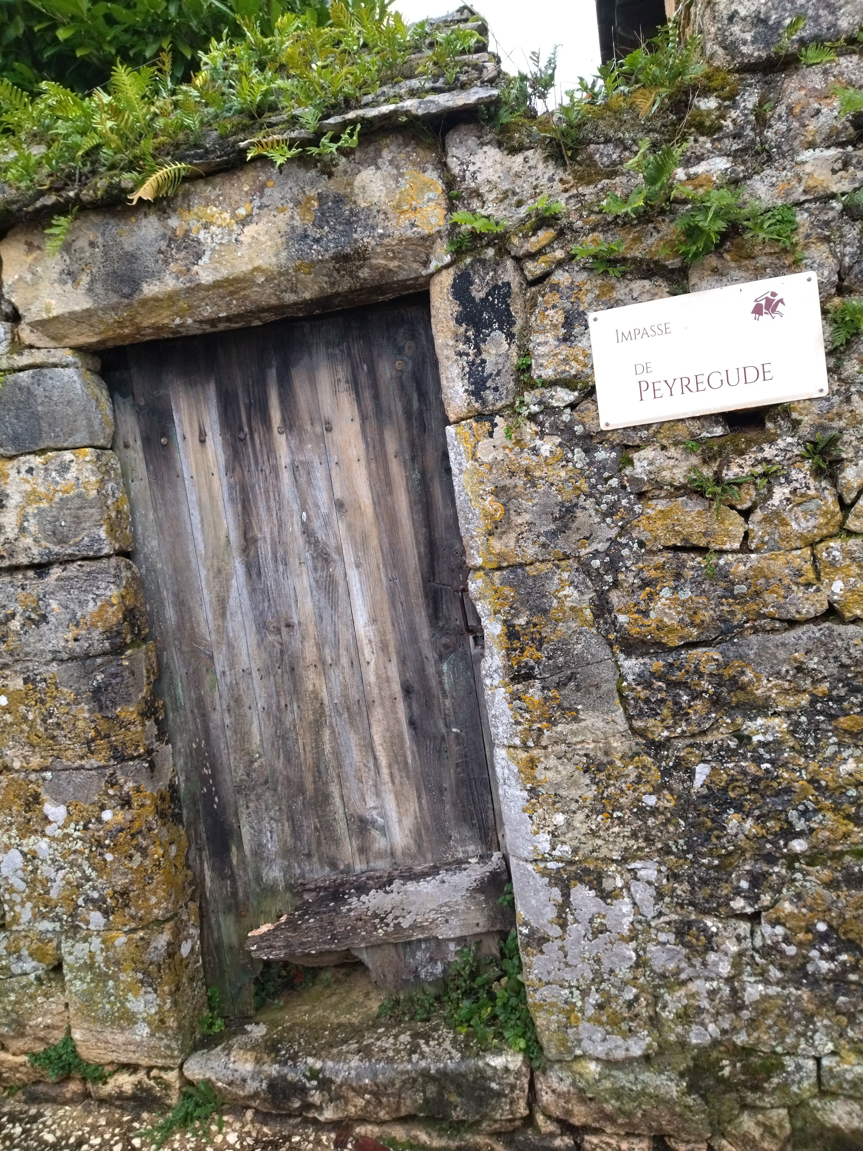 Photo n° 31 de l'avis de Franck.e fait le 29/12/2021 à 13:16