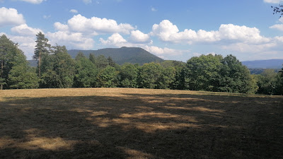 Aire de pique-nique à Saint-Dié-des-Vosges