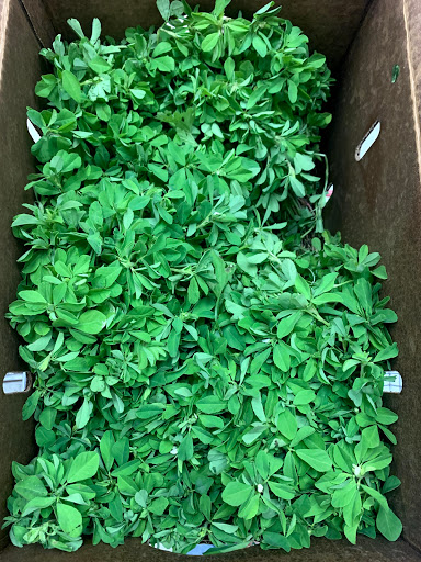 Grocery Store «Tampa Grocery», reviews and photos, 819 E Brandon Blvd, Brandon, FL 33511, USA