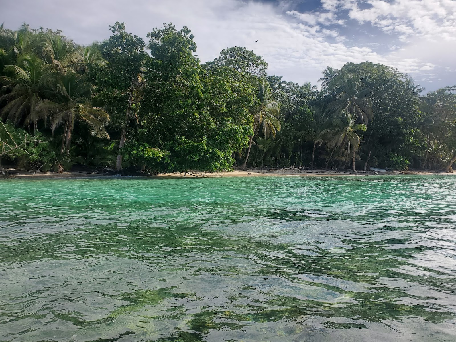 Foto van Salt Creek Beach met turquoise puur water oppervlakte