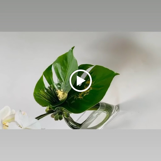 Flower Designer «Bloom Couture Floral Studio», reviews and photos, 769 Tremont St, Boston, MA 02118, USA