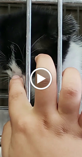 Carson Animal Shelter image