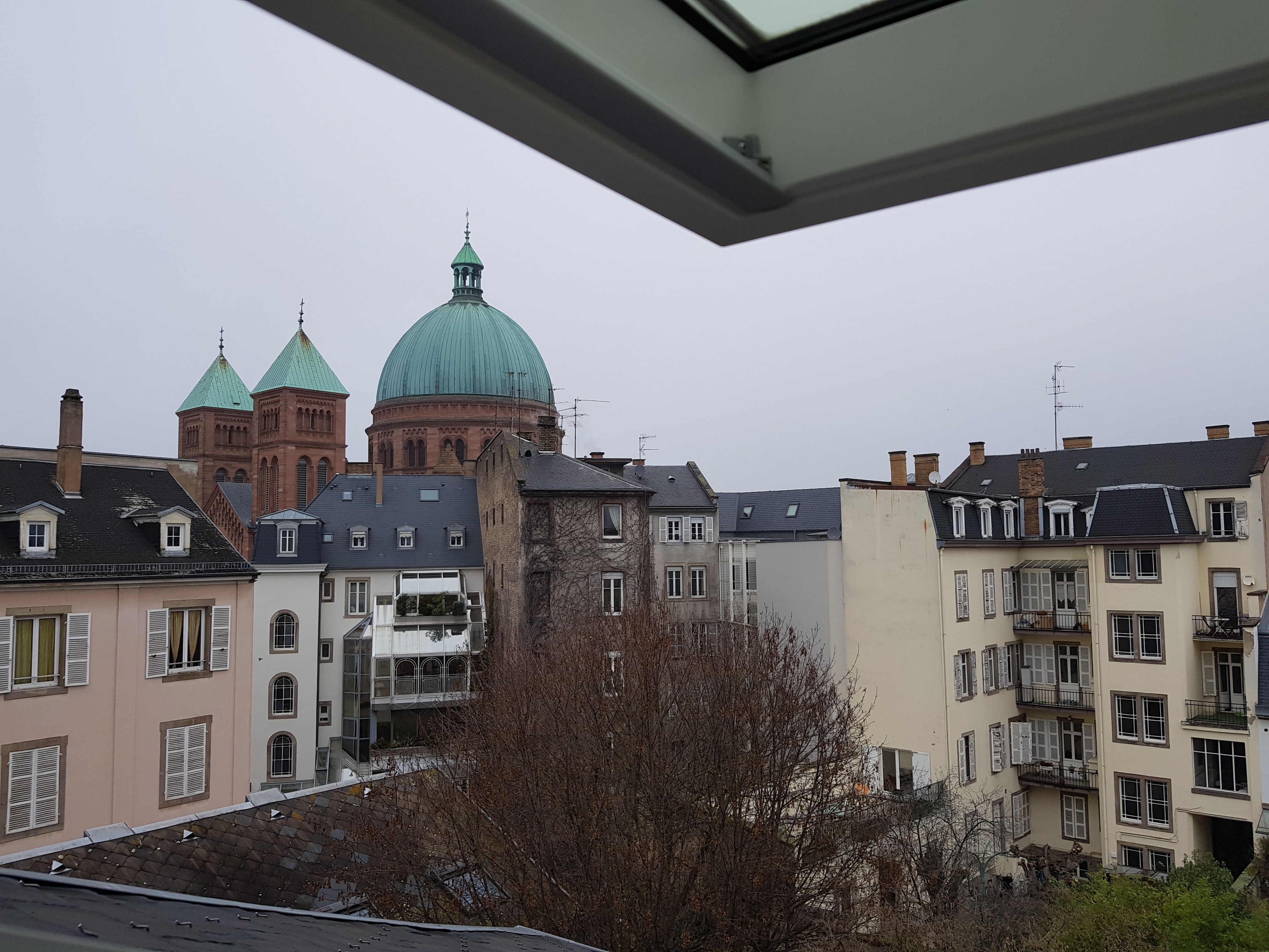 Photo n° 6 de l'avis de asil. fait le 30/12/2019 à 14:44