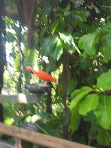 Zoo «Rainforest Pyramid», reviews and photos, 1 Hope Blvd, Galveston, TX 77554, USA