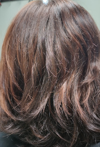 Hair Salon «Signature Style Hair Salon», reviews and photos, 108 Wallace Ave, Downingtown, PA 19335, USA