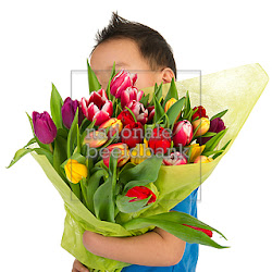 Virgin Flower-comércio Internacional De Flores Lda
