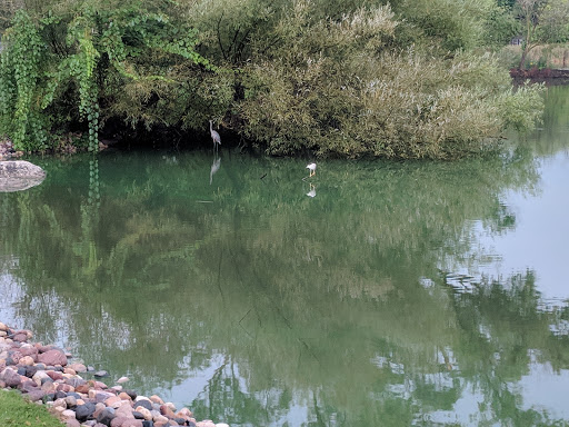 Park «Prairie Park», reviews and photos, 431 Knollwood Dr, Barrington, IL 60010, USA