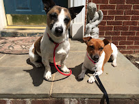 Julie's Pooch Pad - Photo 5 - Car repair in Vienna, VA, Washington