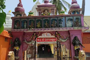 Maa Pataneswari Temple image