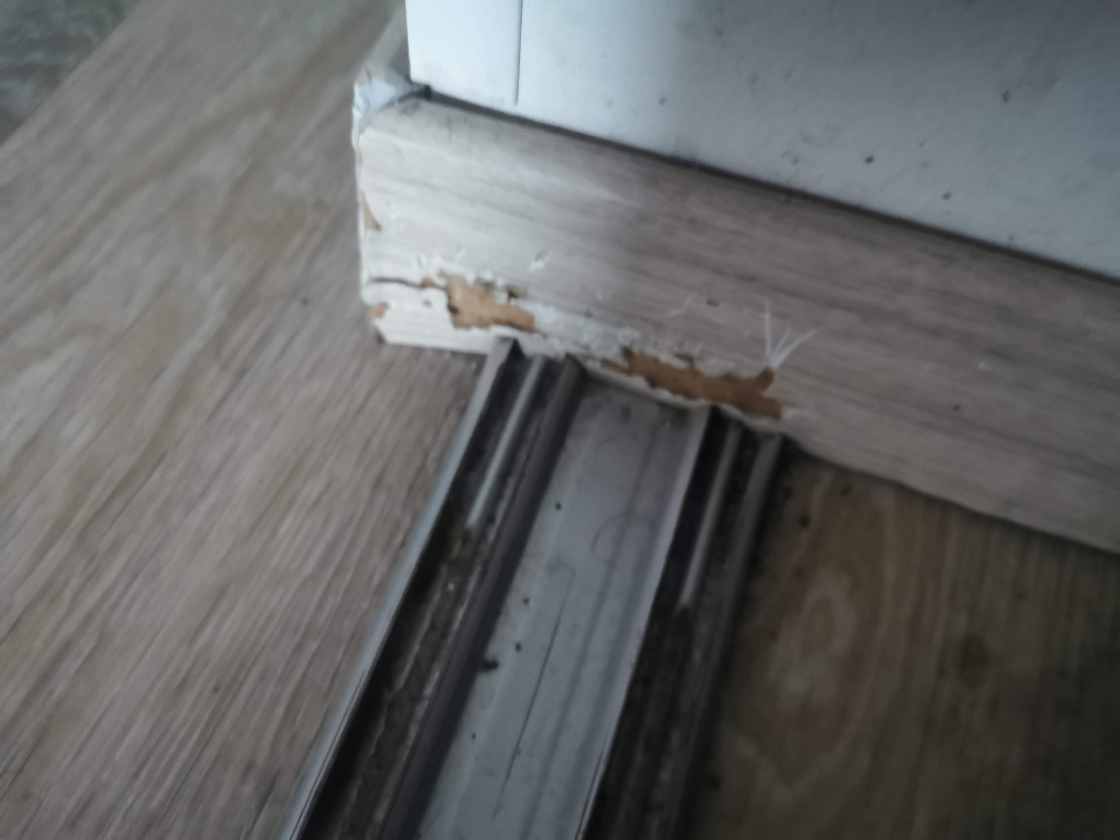 Photo n° 2 de l'avis de So.s fait le 10/03/2024 à 13:27