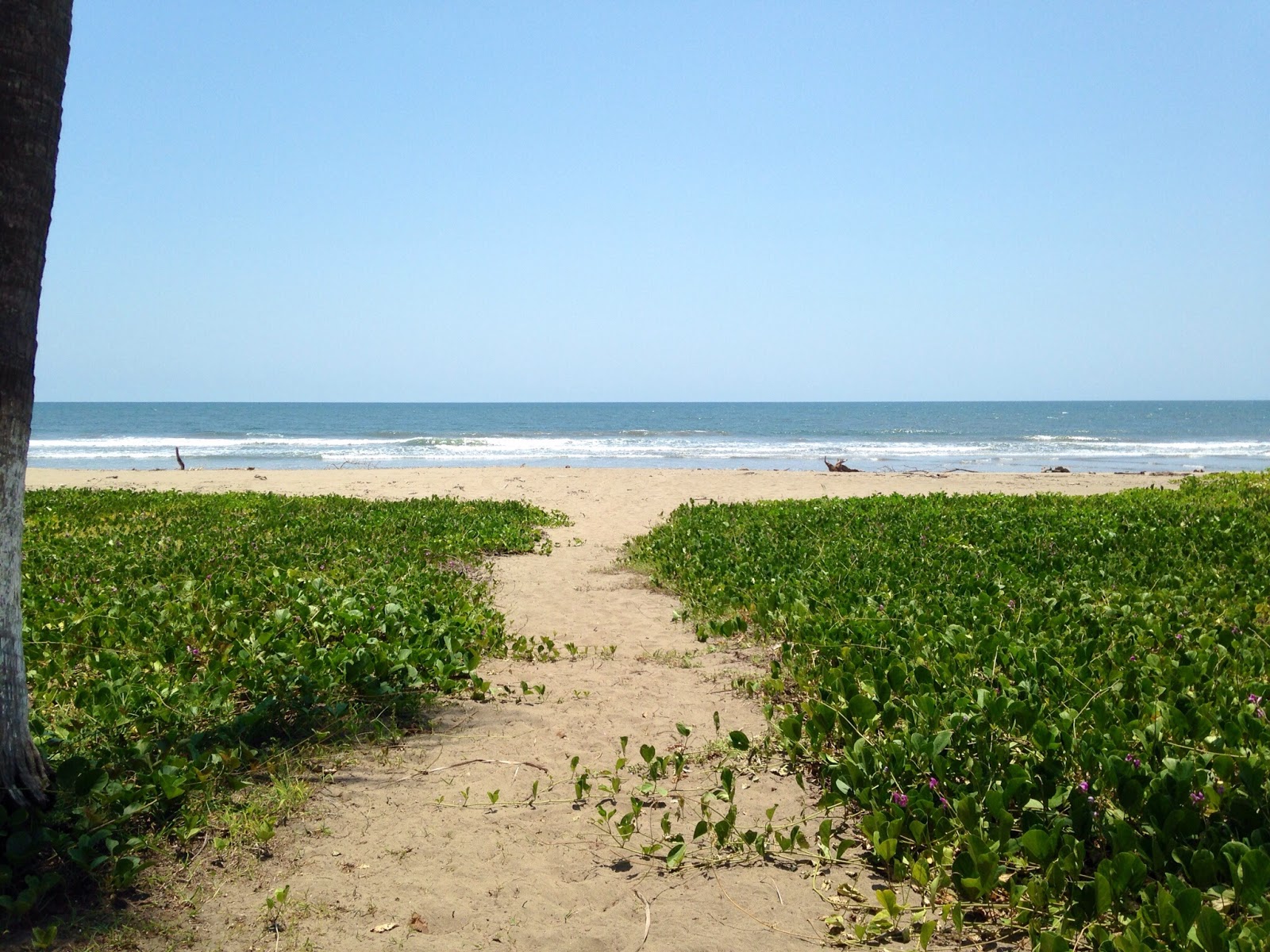 Chila beach的照片 带有明亮的细沙表面