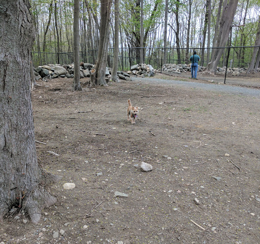 Dog Park «Danvers Dog Park», reviews and photos, 29 Ingersoll St, Danvers, MA 01923, USA