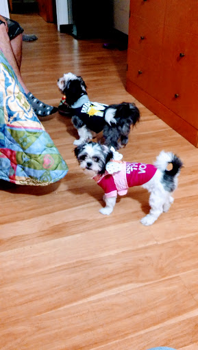 Pet Supply Store «PetSmart», reviews and photos, 1500 NJ-47, Rio Grande, NJ 08242, USA