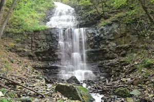 Scenic Waterfall image