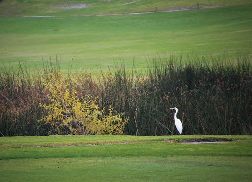 Eagle Glen Golf Club image
