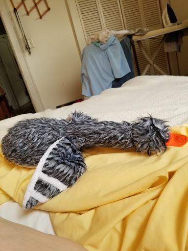 Hardware Store «Westlake Ace Hardware», reviews and photos, 4049 Somerset Dr, Prairie Village, KS 66208, USA