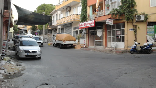 Veteriner Ahmet Kaya