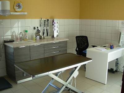 Clinique Vétérinaire du Saint-Laurent à Saint-Mamet-la-Salvetat