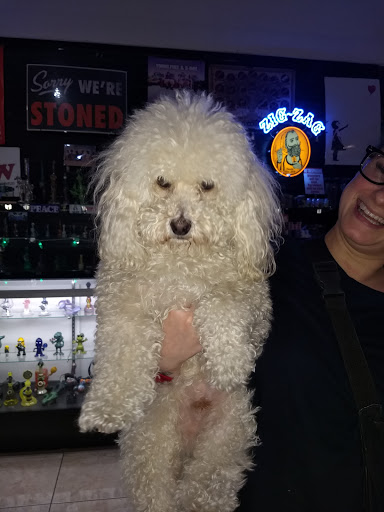 Herb Shop «Traders Smoke Shop», reviews and photos, 14880 N Northsight Blvd #104, Scottsdale, AZ 85260, USA