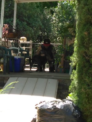 Pinecrest Mobile Home Park - being rebuilt - photo 24