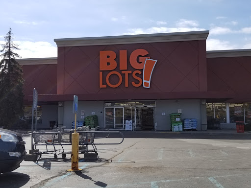 Discount Store «Big Lots», reviews and photos, 1875 W Genesee St, Lapeer, MI 48446, USA