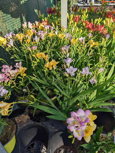 Home Improvement Store «The Home Depot», reviews and photos, 20 Gateway Village Rd, Bluffton, SC 29910, USA